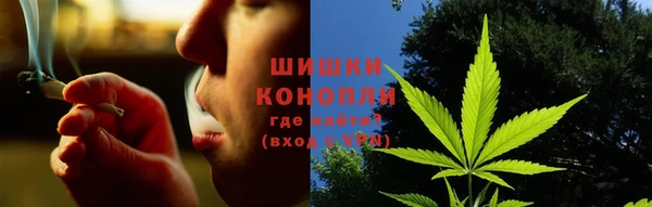 гидра Кинешма
