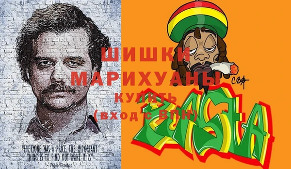 гидра Кинешма